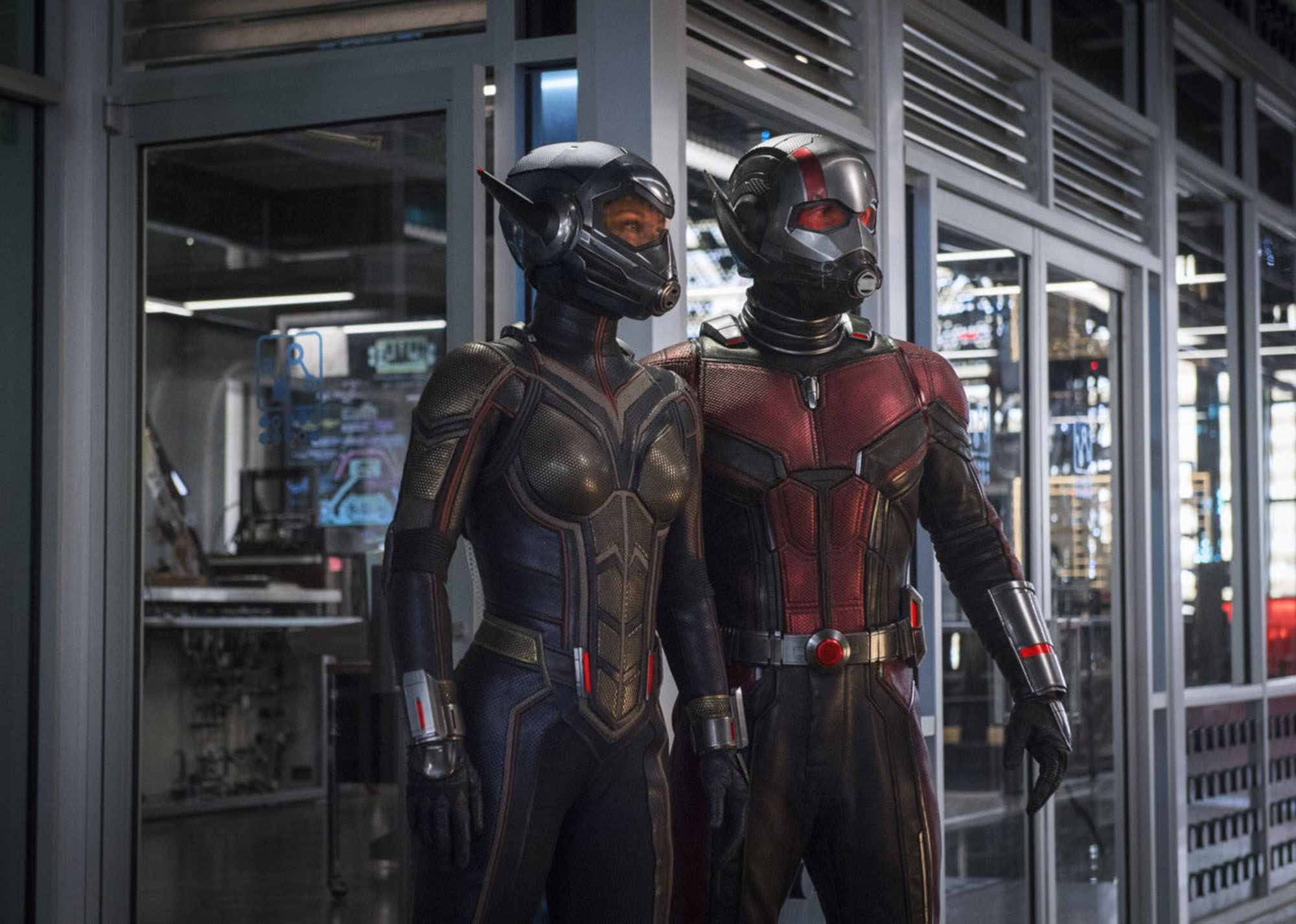 ant man and wasp timeline
